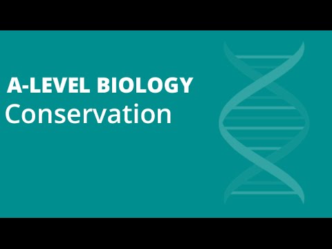 image-What is the difference between in situ and ex situ conservation?