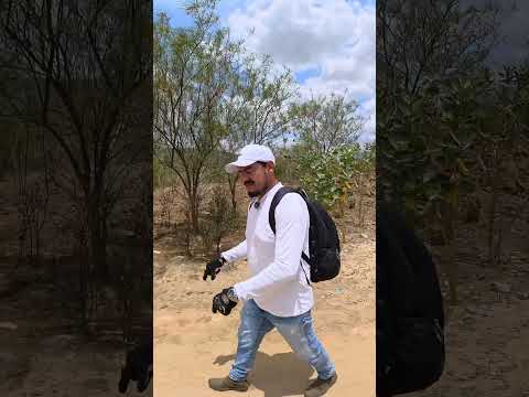 eu estou na antiga vila de couro Dantas na zona rural de riacho das almas Pernambuco