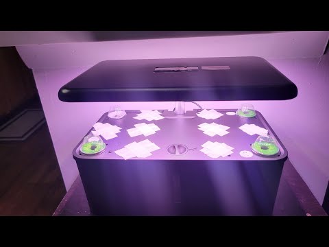 Setup hydroponic growing system: Mufga 12 pod