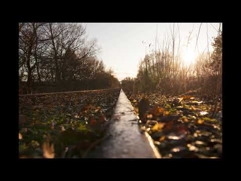 Maciek - O wszystkim i o niczym