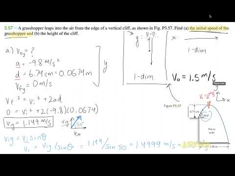 University Physics Grasshopper Problem