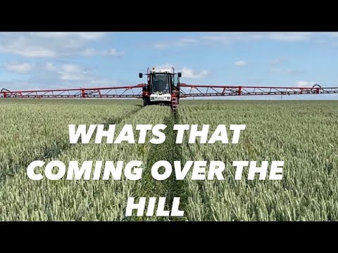 Day461  #OLLYBLOGS KEEPING WHEAT GROWING AND SOME SOIL TYPE CHALLENGES    #AnswerAsAPercent