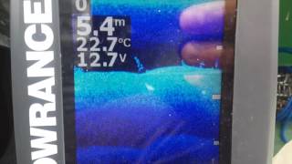 Эхолот lowrance elite 3x dsi