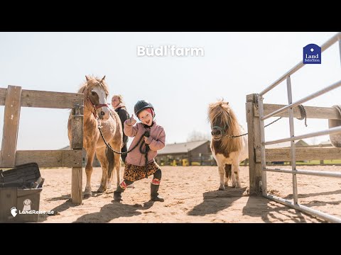 Video 39 aus  Büdl'farm - Der Familien-Erlebnishof