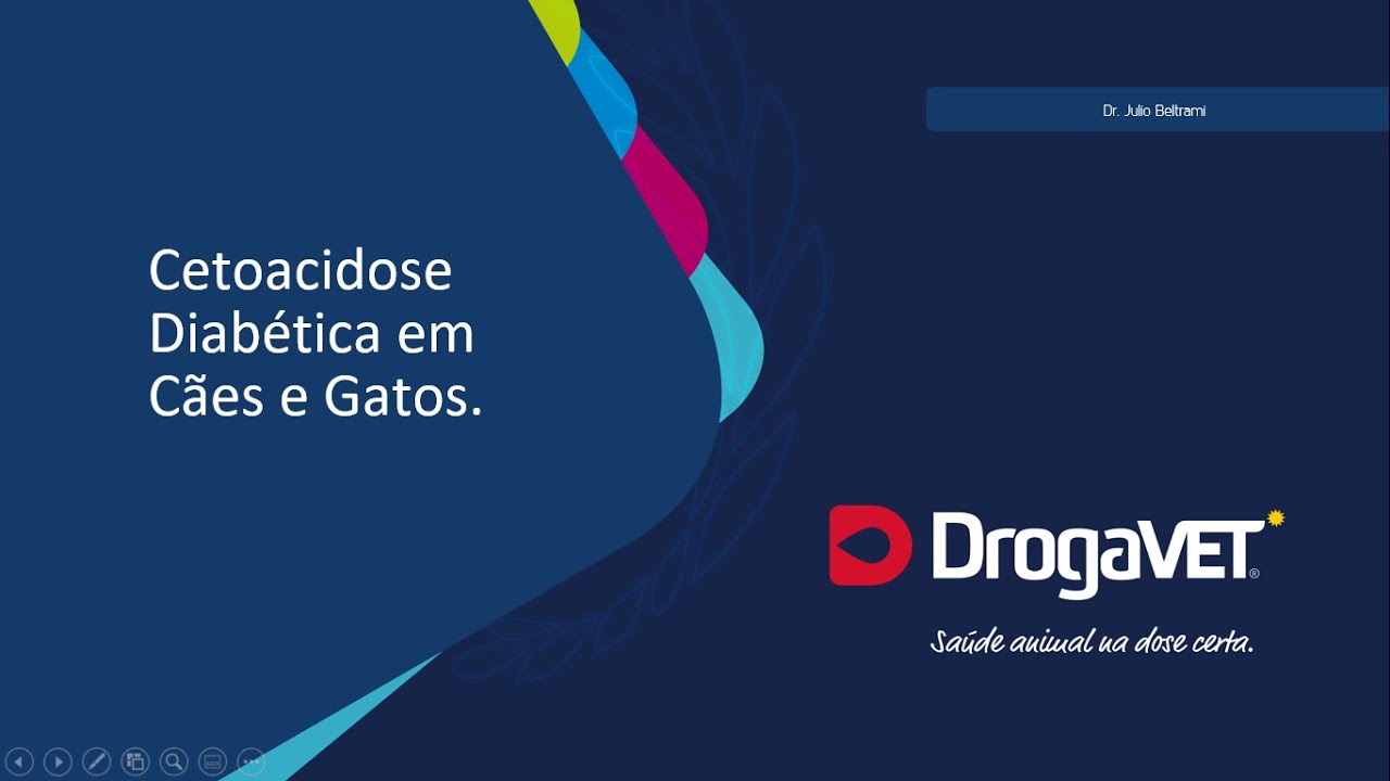 WEBINAR DrogaVET São Paulo - Cetoacidose Diabética em Cães e Gatos.
