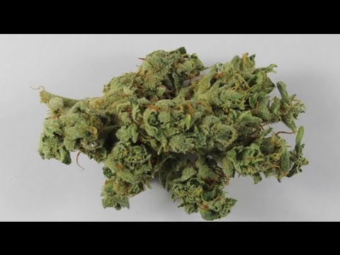 Marijuana Testing Yields Fascinating Results