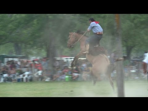 Argentina's gauchos keep 'cowboy' traditions alive