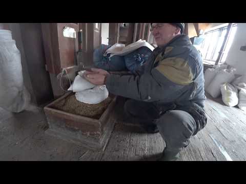 Jedziemy do młyna po mąkę z pszenicy płaskurki :D