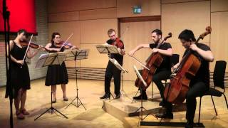 Schubert String Quintet in C (D.956) - II. Adagio