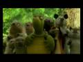 Over The Hedge Trailer
