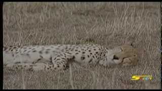 أحلم بالنوم - سبيس تون