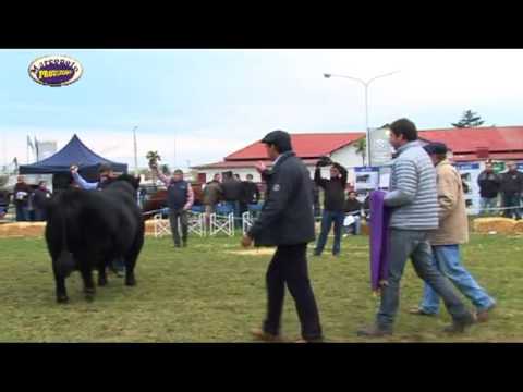 Angus Otoño en Bolivar, Nota Jurado Julio Fernandez
