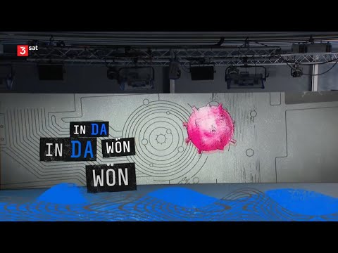 Science Busters - Staffel 09 - Folge 05/12 - In da Wön