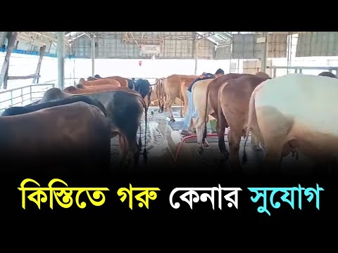 কিস্তিতে গরু কেনার সুযোগ