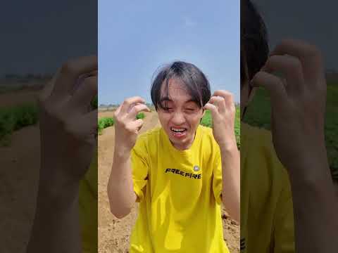 Brainrot đã quay trở lại? #2catv #brainrot #67brainrot