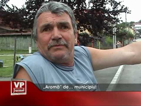 „Aromă” de… municipiu!