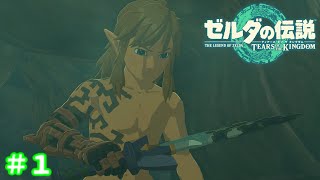 【女性実況】おかえり、パンイチ勇者殿。＃１【ゼルダの伝説 ティアーズ オブ ザ キングダム】