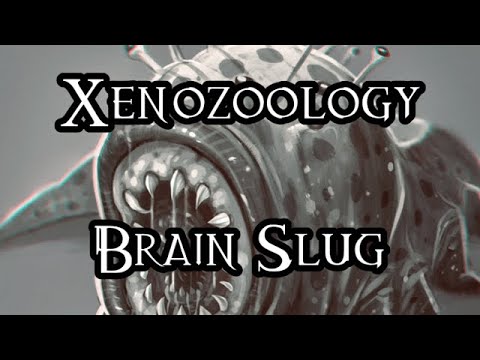 Xenozoology: Brain Slug - 40K Theories