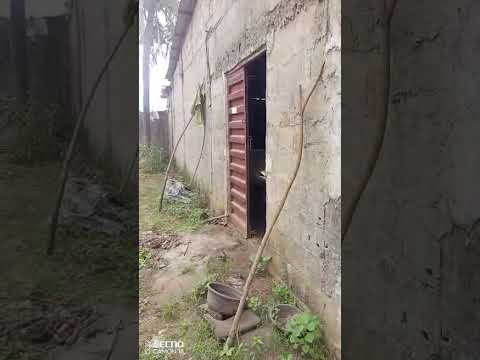 Warehouse & 2 Shops on Over a Plot of Land for Sale at Oke-Afa, Isolo