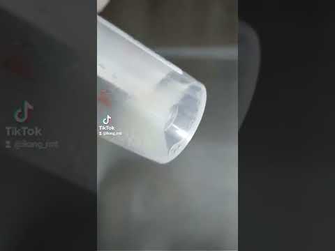 Sperm Cells under the microscope