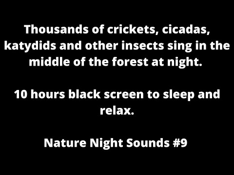 Thousands of crickets cicadas & katydids black screen cricket sounds sleep sounds white noise ASMR