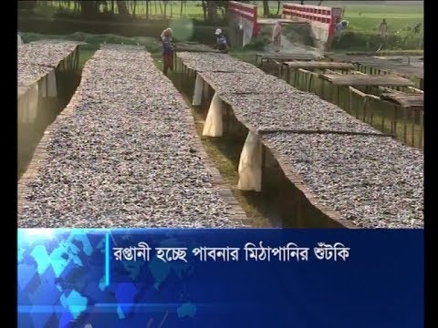 রপ্তানি হচ্ছে পাবনার মিঠা পানির শুটকি