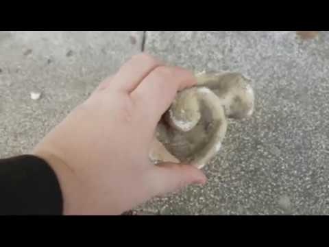 Odpadli kos fasade na Ulici kneza Koclja v Mariboru