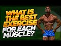 What is the Best Excercise for each Muscle?