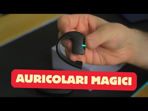 Speak to anyone in over 50 languages? I tried the Vasco Translator E1 earpiece translator.