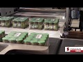 00329 PALETTIZZATORE A STRATO PER FARDELLI SETTORE CONSERVIERO LAYER PALLETIZER FOR BUNDLES