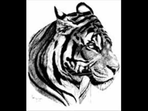 Mc-crookz-peter griffing m8t.wmv