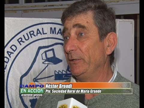 Finalizó el curso sobre ganadería bovina de cría  - Nestor Brondi y otros