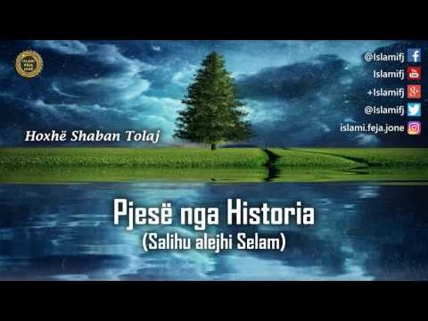 Pjesë nga Historia (Salihu alejhi Selam) - Shaban Tolaj