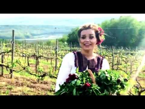 Cornelia Ștefăneț și Orchestra Fluieraș condusă de Frații Ștefăneț - Eu am locul meu sub soare