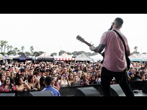 This Wild Life - 405 [OFFICIAL VIDEO]