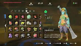 【スイッチ２で遊ぶ】色々ゲーム【のんびりTEST】カクツキはこちらの環境です(テスト配信)