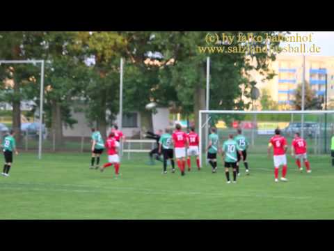 Szenen vom Schönebecker SC  : VfB Merseburg am 2015-05-13