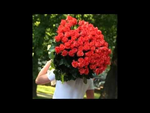 Cartas do Baralha Cigano - Carta 9 O Buque