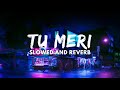 Tu Meri Slowed And Reverb