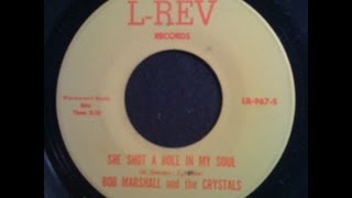 She Shot A Hole In my Soul - Bob Marshall and the Crystals