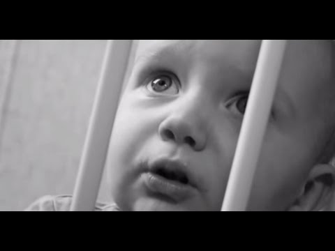 En Breve: La Ciencia de la Negligencia
