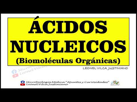 ÁCIDOS NUCLEICOS