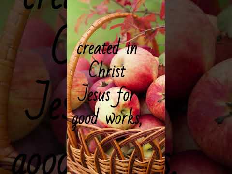 Ephesians 2:10 The Divine Design: Created for Good Works in Christ