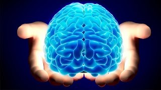 The Most Amazing Facts About The Human Brain
