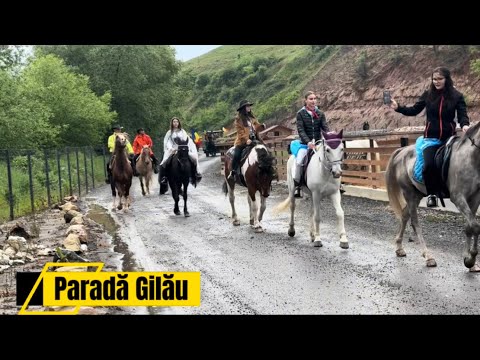 Parada cailor prin comuna Gilău jud Cluj‼️CAI FRUMOȘI