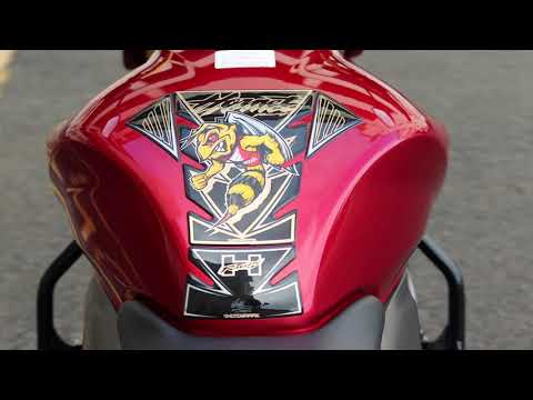 Honda CB600F Hornet 08 - DBH Motorcycles Stock - Walk Around