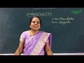 BSMS Maruthuva Thavara Iyal Taxonomy Of Angiosperms Santhigiri Siddha Medical College