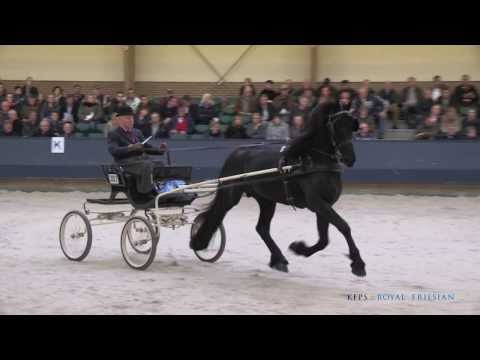 Fonger 478 (Olgert x Doeke)