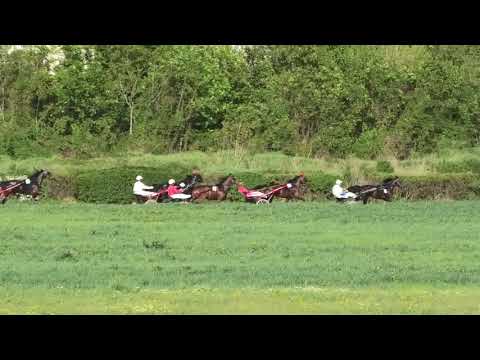 Trka "Novica Andrejić-Gudžoman" 02.05.2019  Lejla S.P. - Boris Kečenović