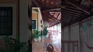 LENDARIO 003 - PAPALÉGUAS 3460 X PLUMA NETA 288
